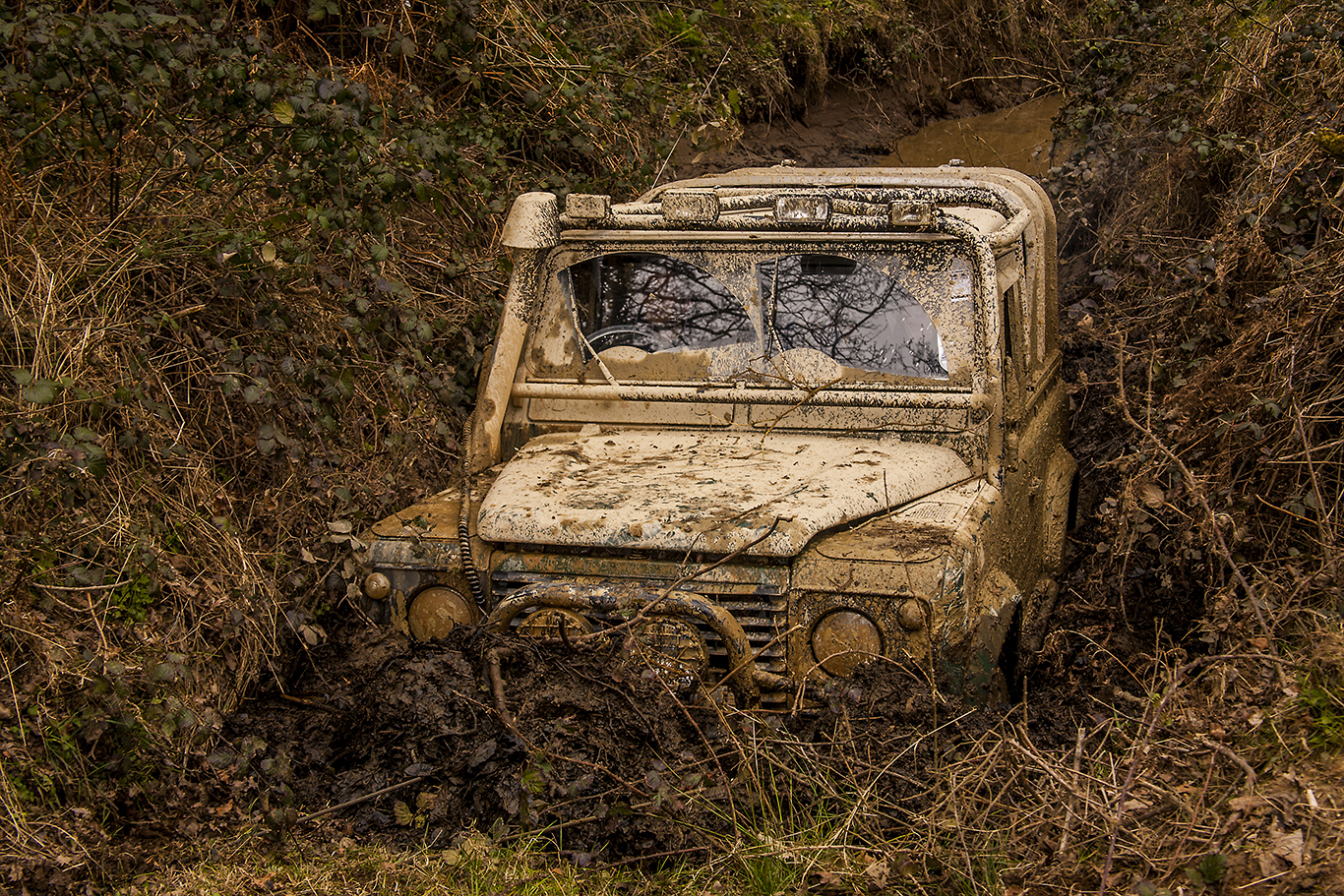 off-road photographs (10 of 116)
